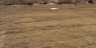 Half Off First Month's Rent + No Hidden Fees! Move-In Ready 3 Bed, 2 Bath Home in Southbrook Gallery 17