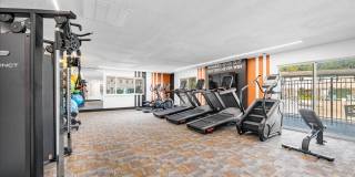 Cambridge on Ford Gallery 11