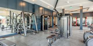 The Cameron Gallery 6