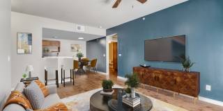 Valor at Harlingen Gallery 10