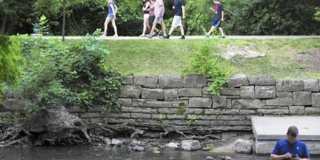 15 Olympus Drive Gallery 31