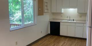 Mid-Town Single Family Home w/ Spacious Fenced Yard Gallery 7