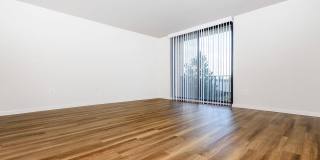 Whitestone at Landmark Gallery 28