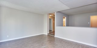 Ariel Court Gallery 10
