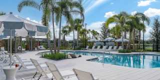 Livano Charlotte Harbor Gallery 11