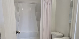 Moana Gallery 32