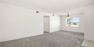 833 Cinnamon Gallery 6