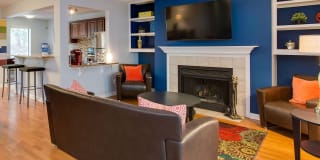 Laurel Oaks Gallery 27