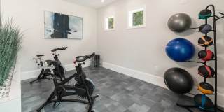 Elevate 155 Gallery 18