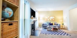 TGM Autumn Woods Gallery 5