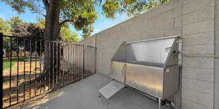 Avion Gallery 33