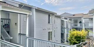 Great Condo for rent Gallery 1