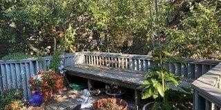 270 Cottage Walk Gallery 5