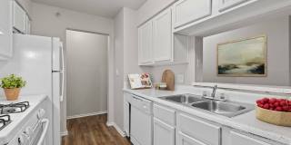Ovation Apartments Gallery 8