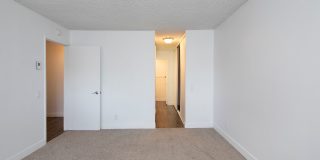 The Pacific at Mission Bay Gallery 52