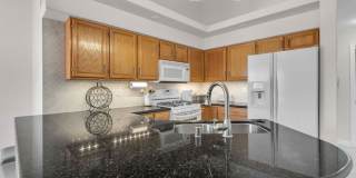 1545 Lake Placid Terrace Gallery 6