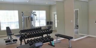 The Legends Gallery 17