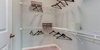 Ascend Apollo Gallery 10