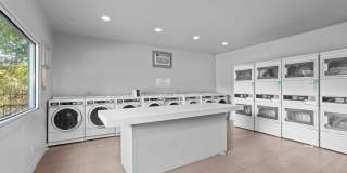 Trio Trio Gallery 16