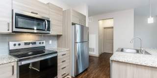 RIZE at Winter Springs Gallery 141