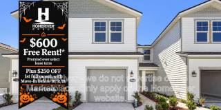 218 Brazil Nut Cir Gallery 1