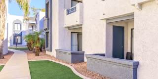 Rise on Cactus Gallery 117