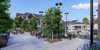 The Canter Gallery 1