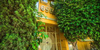 6566 Fountain Ave. Gallery 11