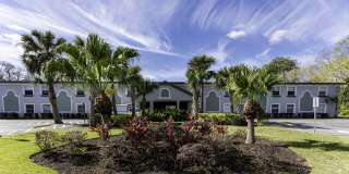 Palm Cove Apartments Gallery 18