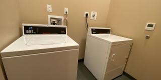 Red Oak at 83 Hanover Street Gallery 21