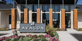 Avalon Saugus Gallery 27