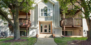 206 SPRING MAIDEN Court Gallery 1