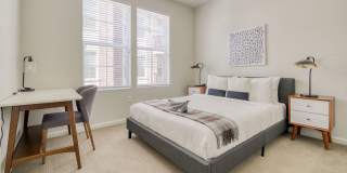 The Mason Gallery 18