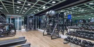 The Statesman Gallery 13