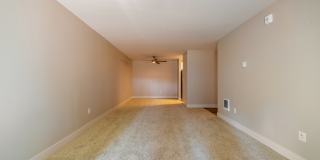 Terra Apartments Gallery 46