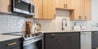 NOVEL Scotts Addition Gallery 3