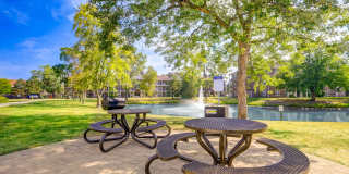 Avery at Arlington Lakes Gallery 5