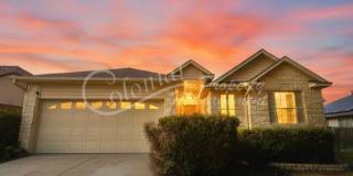 AVAILABLE NOW! Gallery 1