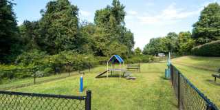 Alvista Bowie Gallery 19