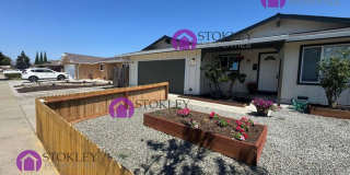 6346 Escallonia Drive Gallery 37