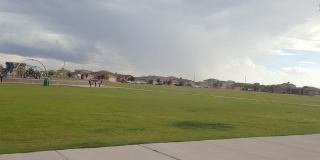 14661 GINGER KERRICK Gallery 24