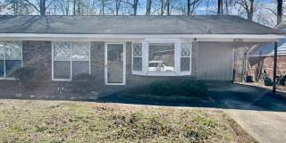 Conifer Ring #58 Gallery 1