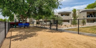 The Madison Gallery 24