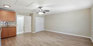 Cozy Clearwater Studio Ready for Move-in! Gallery 12