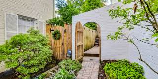 COMING SOON - Stunning 4 bed + 2 full & 2 1/2 bath Classic in NW DC Gallery 46