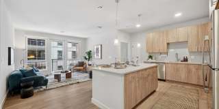 Piper Piper Gallery 2