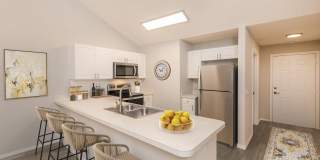 Ariel Springs Gallery 59