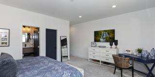 49155 Avenida Fernando Gallery 45