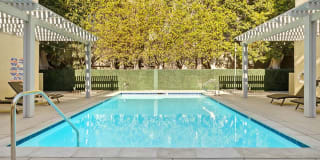 Palms Court Gallery 18