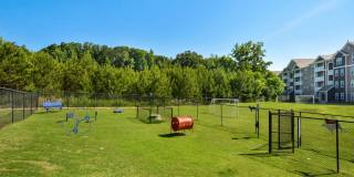 Legacy Ridge Gallery 21